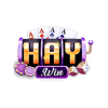 haywininnet1