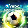 veboziicc
