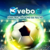vebozsscc