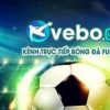 vebozvvcc